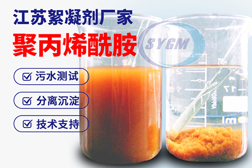 阳离子聚丙烯酰胺离子度
