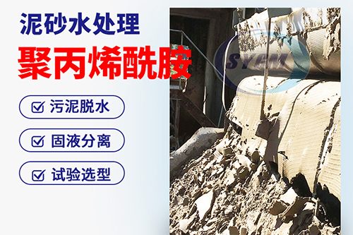 污泥脱水PAM