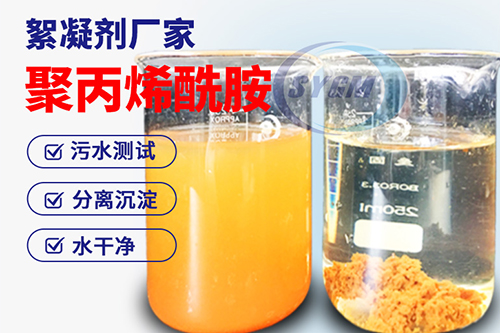 阳离子聚丙烯酰胺